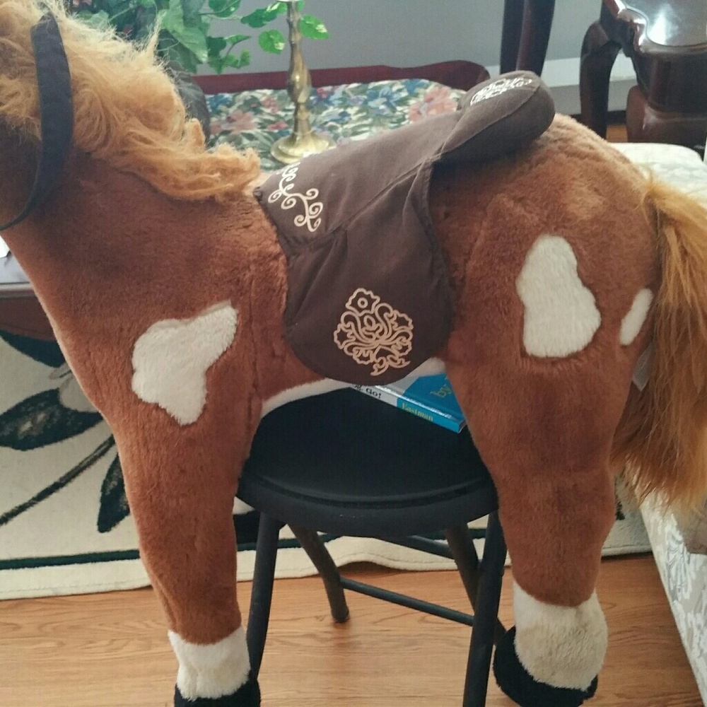 STANDING UP PONY - Picture 4 of 4